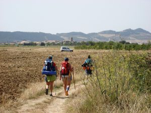 Lee más sobre el artículo Las mejores rutas del Camino de Santiago