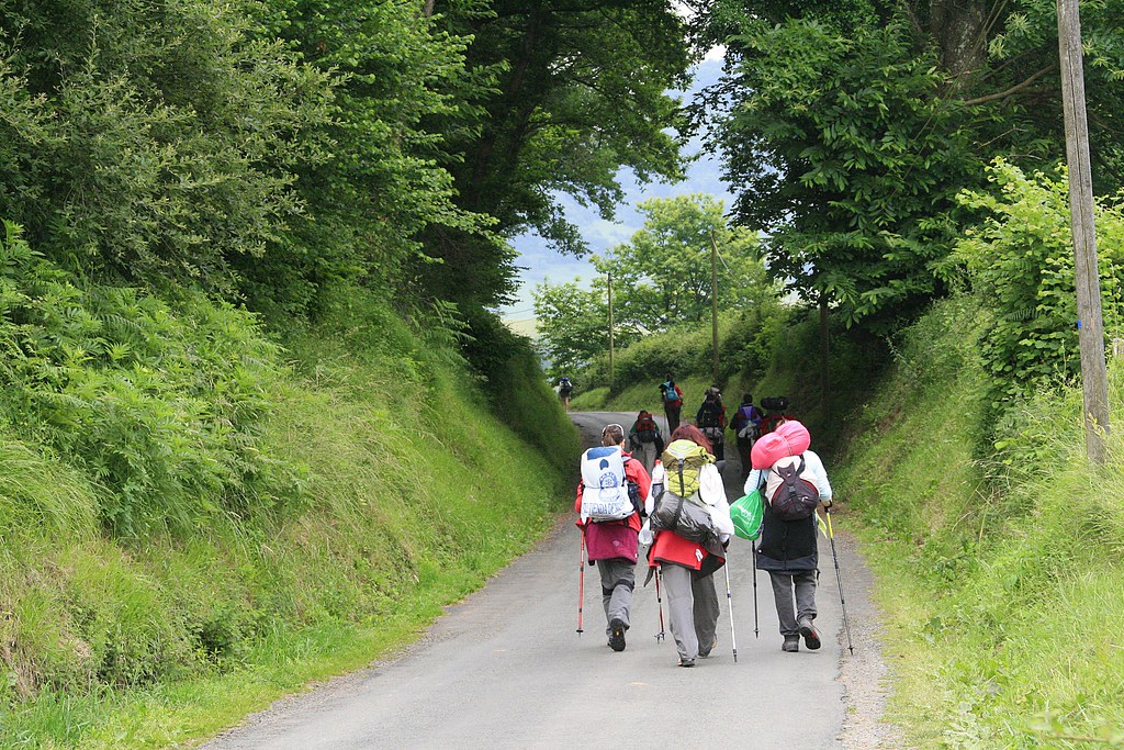 Lee más sobre el artículo Último tramo del Camino de Santiago
