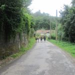 El camino de Santiago, la ruta mas corta y fácil