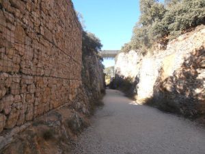 Lee más sobre el artículo Etapa 11. De Belorado a Atapuerca, 34 km