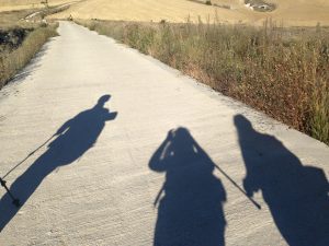 Lee más sobre el artículo Etapa 15. De Boadilla del Camino a Carrión de los Condes, 24,6 km