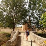Etapa 16. De Carrión de los Condes a Shagún, 39 km