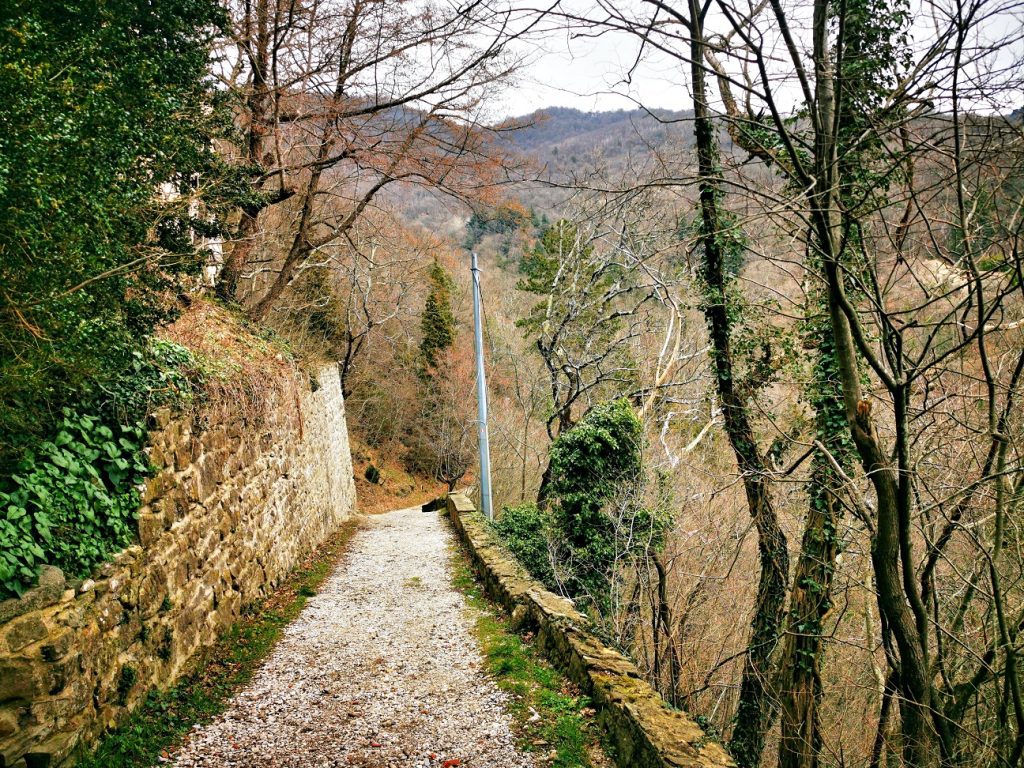 Etapas Camino de Santiago Vía de la plata
