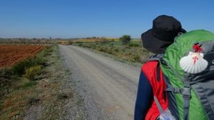 Lee más sobre el artículo Descubre los tramos más recorridos del Camino de Santiago