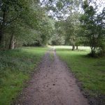 Guía del camino de Santiago portugués por etapas