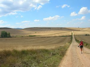 Lee más sobre el artículo Crea tu plan de entrenamiento para el Camino de Santiago