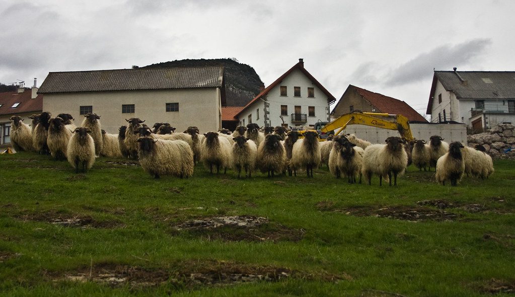 etapa de St.Jean-Pied-de-Port a Roncesvalles