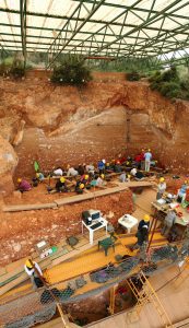Lee más sobre el artículo El Yacimiento de Atapuerca en el Camino de Santiago: Un Tesoro Arqueológico en España