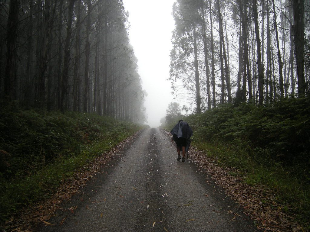 ¿Camino Francés o Camino del Norte? Que camino es mejor hacer 