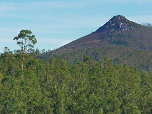 Lee más sobre el artículo El Pico Sacro en Galicia