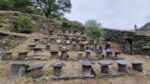 Lee más sobre el artículo Las alvarizas o colmenares en el Camino de Santiago