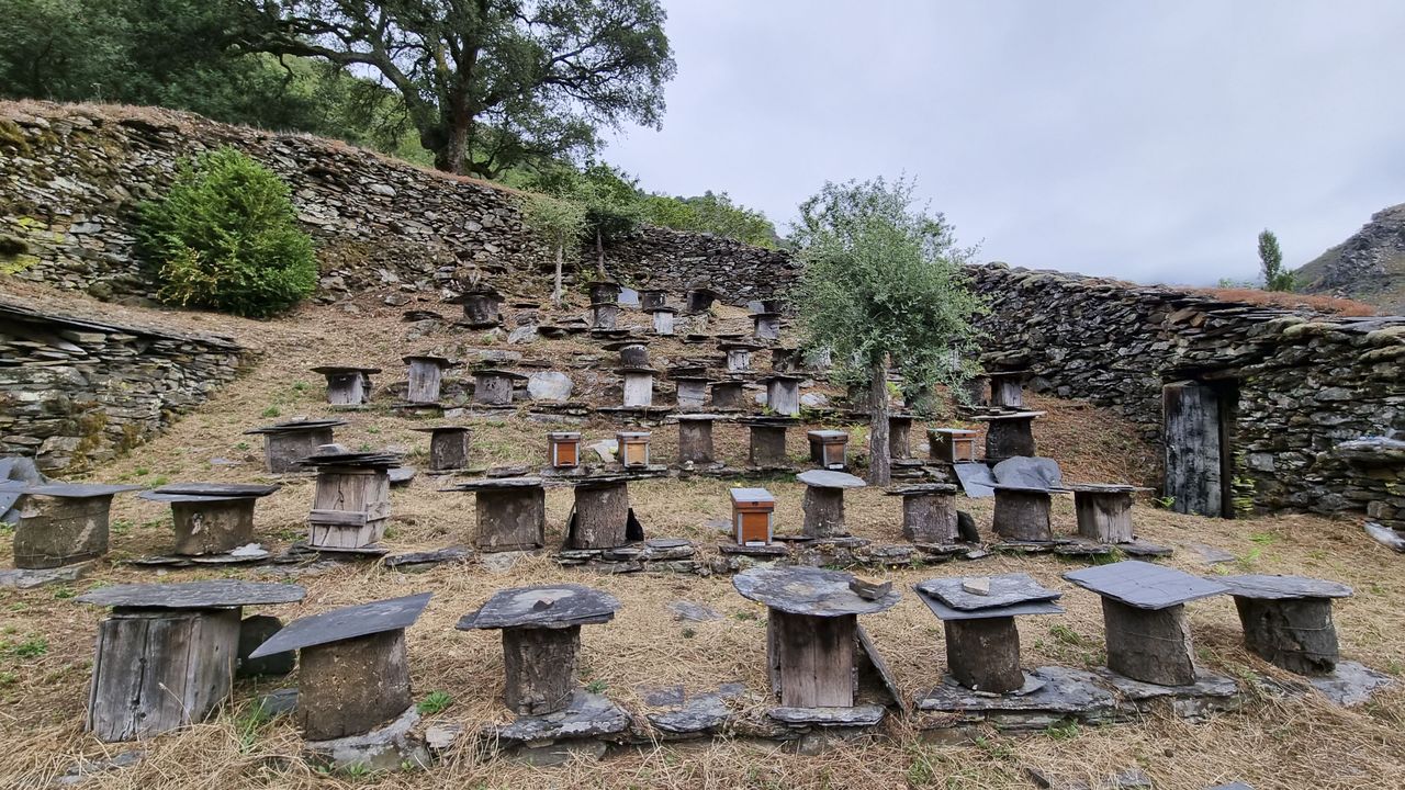 En este momento estás viendo Las alvarizas o colmenares en el Camino de Santiago
