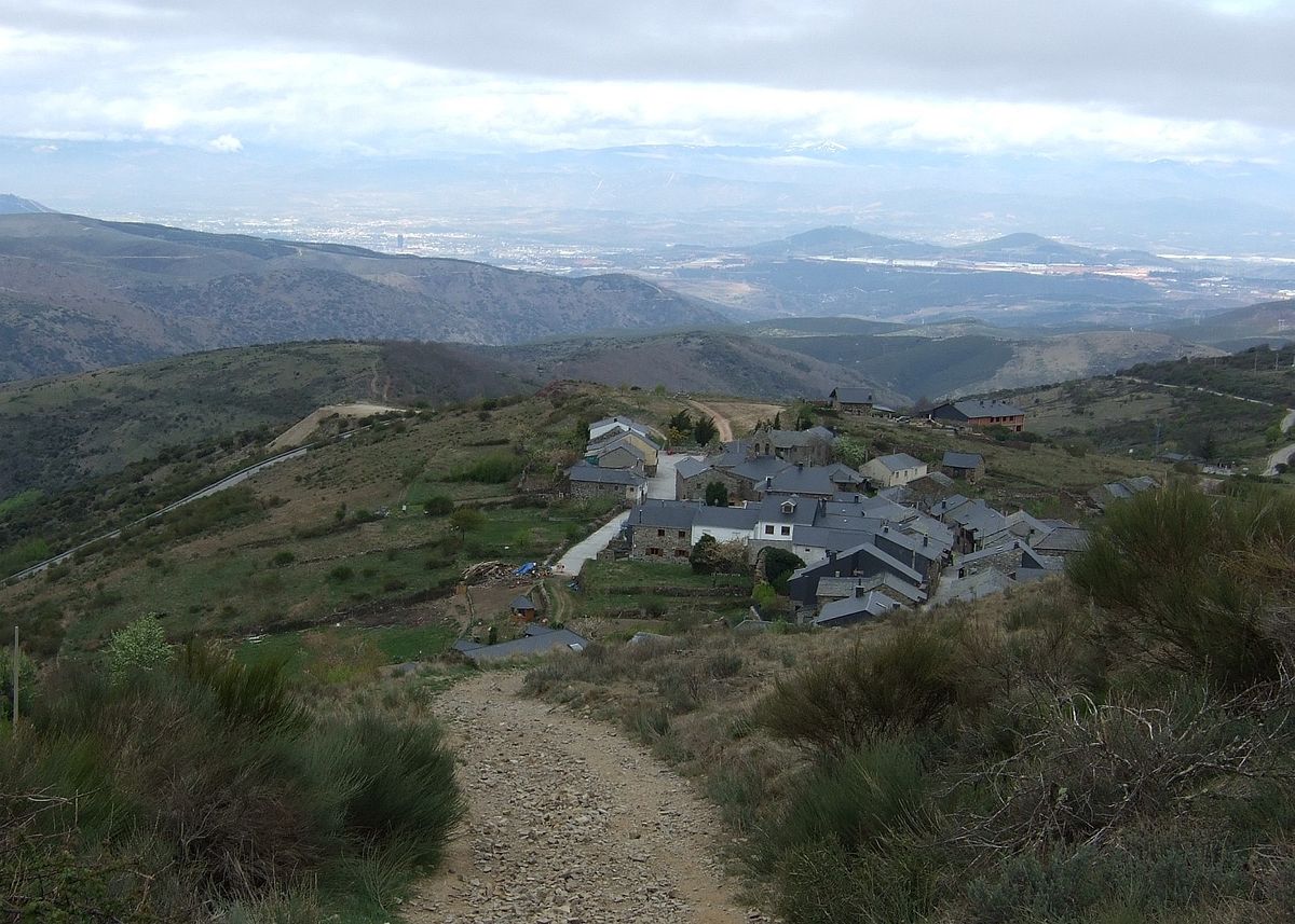 Lee más sobre el artículo El acebo de San Miguel en el Camino de Santiago