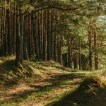 El Castro de Lavacolla: la huella de la Edad del Hierro